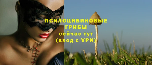 крисы Балабаново
