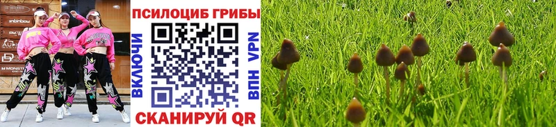 Галлюциногенные грибы прущие грибы  продажа наркотиков  Ленинск 