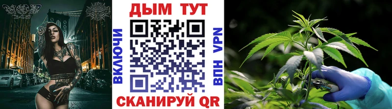 продажа наркотиков  Ленинск  Бошки Шишки семена 